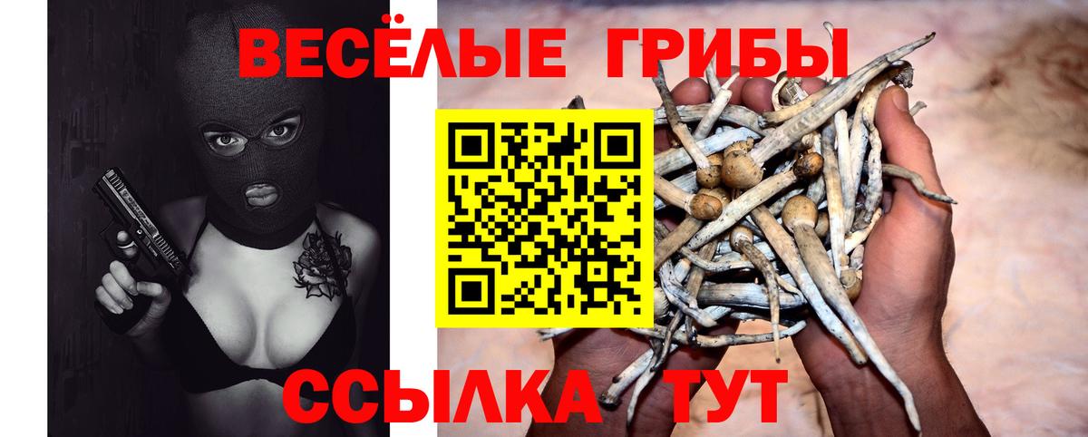 Псилоцибиновые грибы MAGIC MUSHROOMS  Вход с VPN  Медногорск  Галлюциногенные грибы GOLDEN TEACHER 